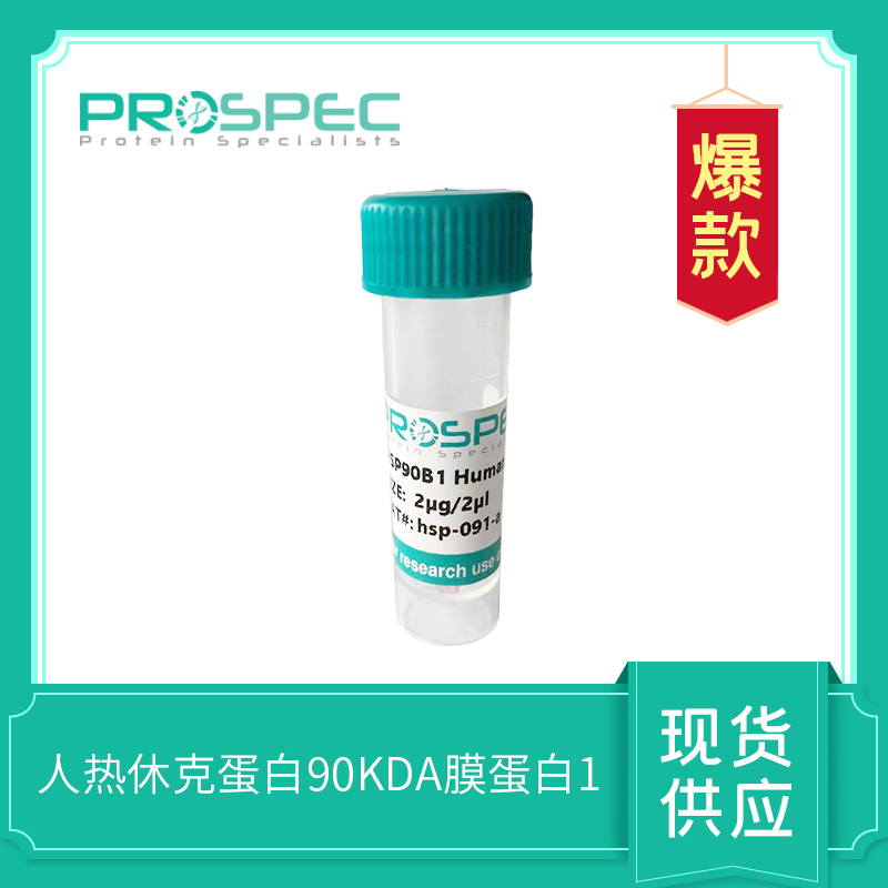 Recombinant Human Heat Shock Protein 90kDa Beta (GRP94) Member 1
