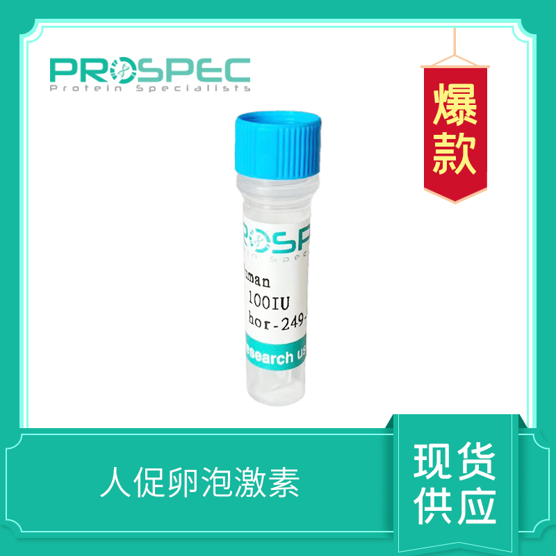 Human Follicle Stimulating Hormone